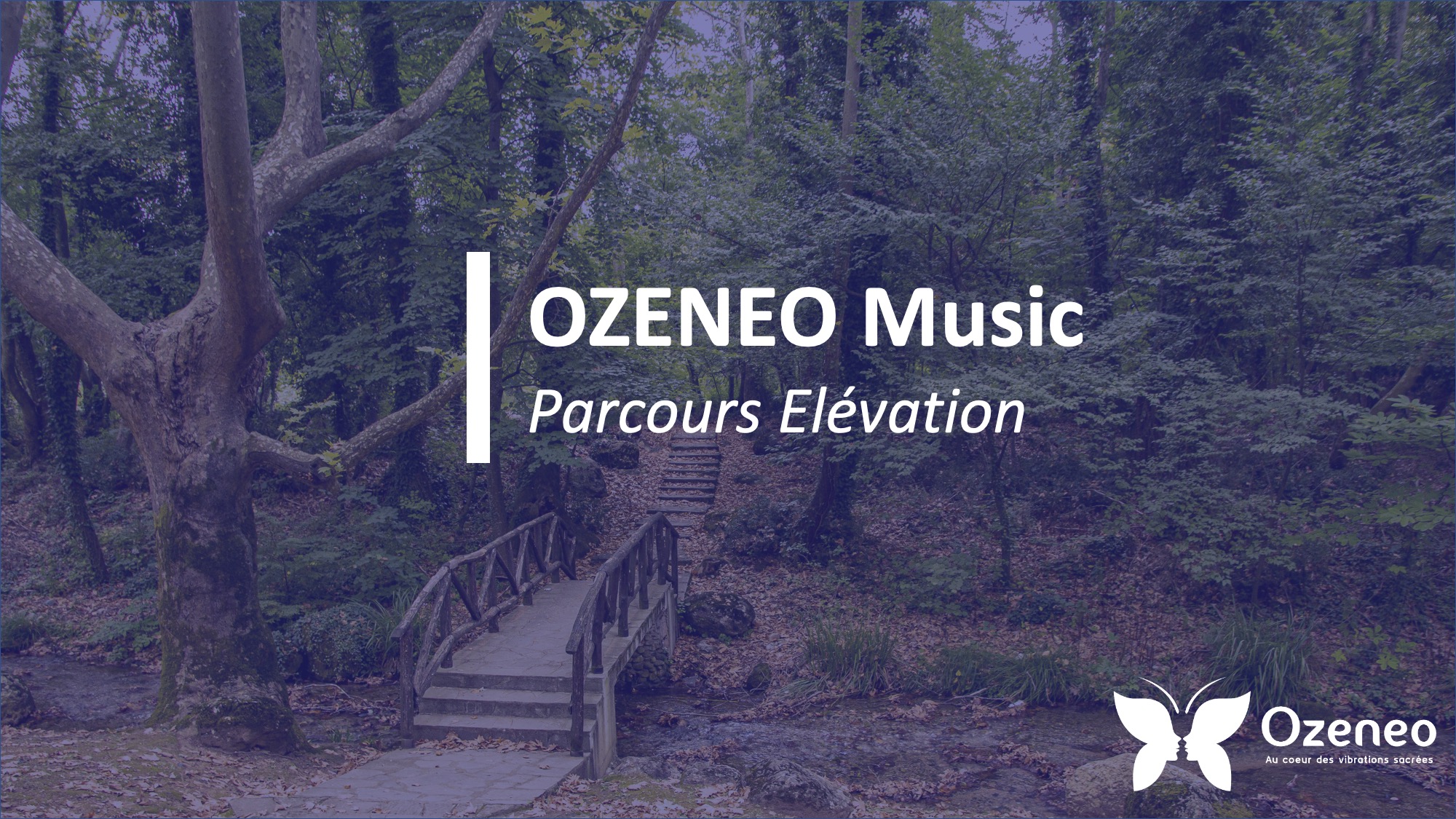 Ozeneo – Parcours Elevation